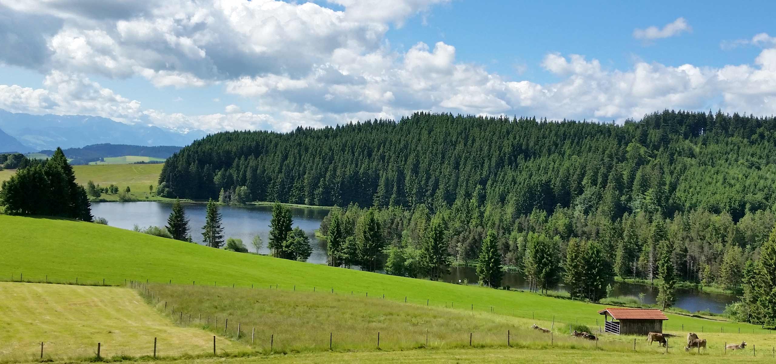 Wandern im Allgäu und Umgebung
