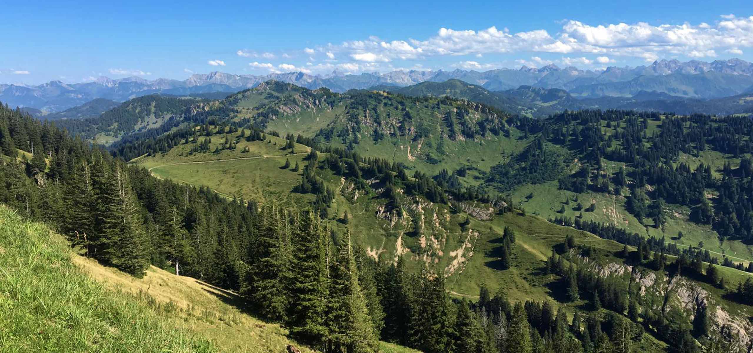 Webcams im Allgäu